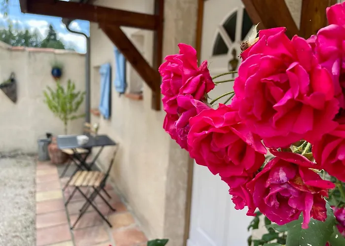 Les Grands Maitres D'hotes Bed & Breakfast